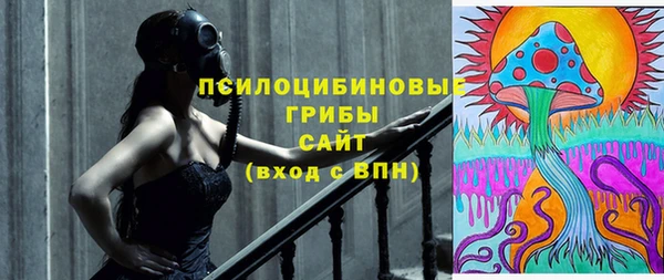 спайс Дмитров
